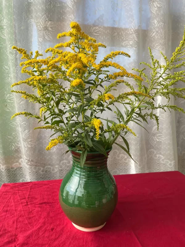 Vāzes